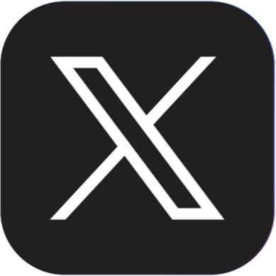 X Icon